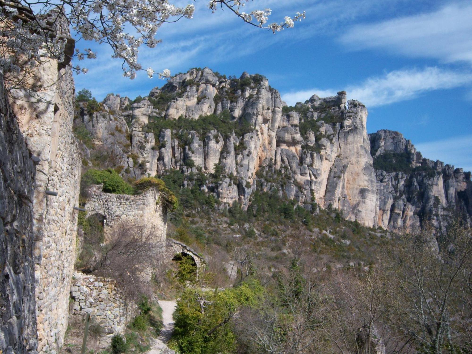 Ermitage De Peyreleau Bed & Breakfast Dış mekan fotoğraf