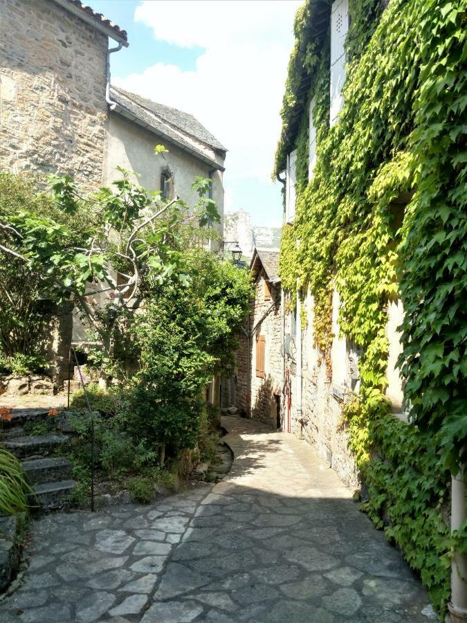 Ermitage De Peyreleau Bed & Breakfast Dış mekan fotoğraf